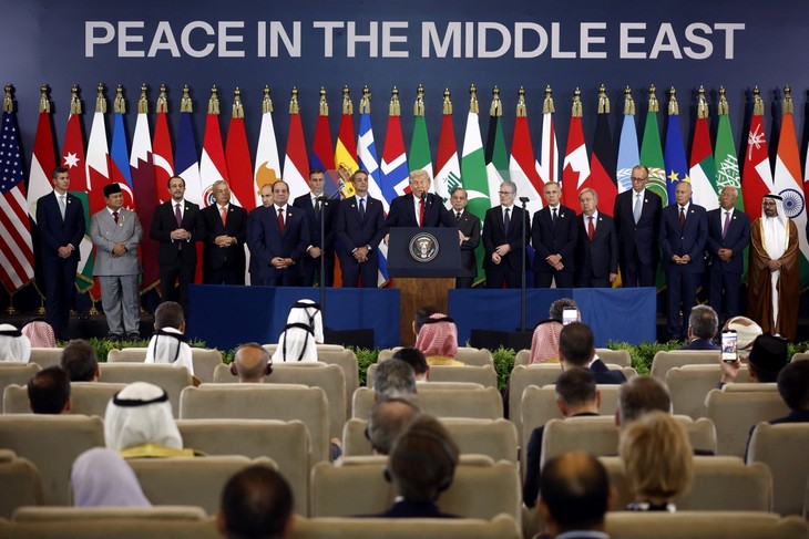 Gaza summit in Egypt: a test for Middle East peace - ảnh 1