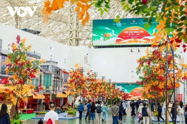 Wednesday November 5, 2025 - ảnh 3