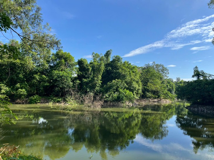 Hanoi Botanical Garden boasts rare plant species, beauty of nature - ảnh 3