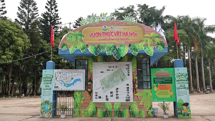 Hanoi Botanical Garden boasts rare plant species, beauty of nature - ảnh 1