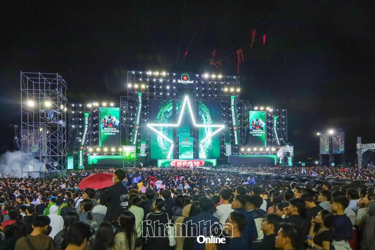 Countdown, light shows ring in New Year 2026 across Vietnam - ảnh 4