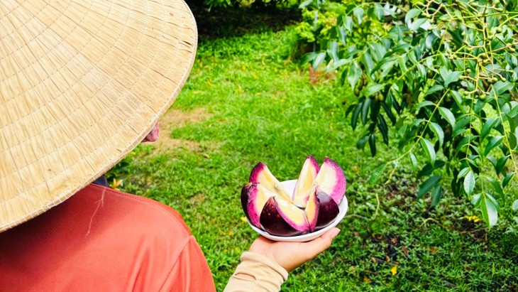 Experience slow journeys, living traditions in Can Tho - ảnh 2