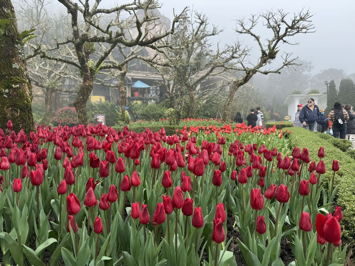 Wednesday March 11, 2026 - ảnh 5