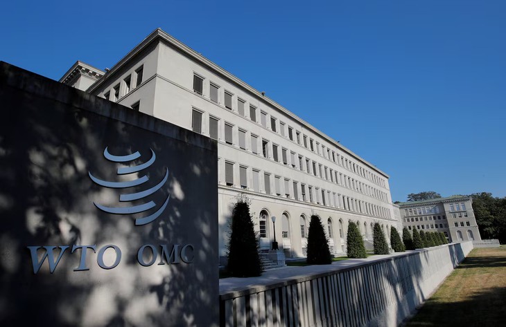 WTO under reform pressure - ảnh 2