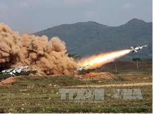 Air Defense and Anti-Aircraft Force marks 50th founding anniversary - ảnh 1