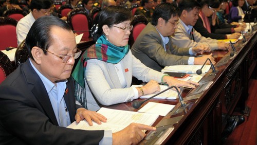 Constitutional implementation promoted - ảnh 1