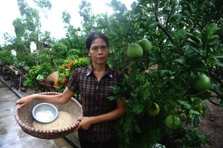 Vietnam celebrates World Food Day 2014  - ảnh 1