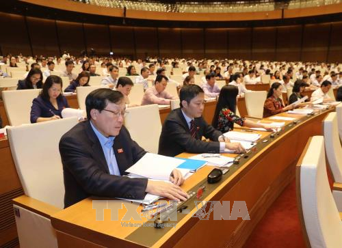 National Assembly adopts Law on Forestry - ảnh 1