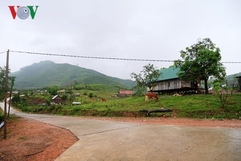 Yang Mao recovers from Storm Damrey - ảnh 1