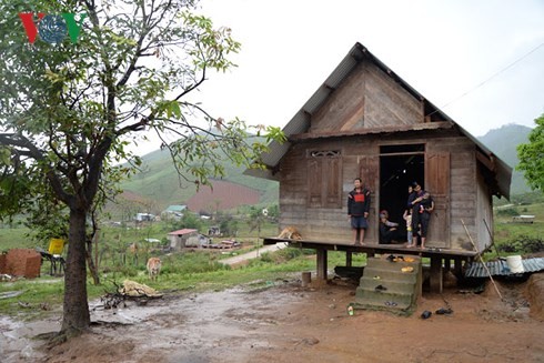 Yang Mao recovers from Storm Damrey - ảnh 2