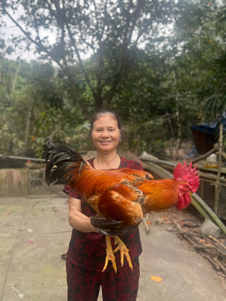 Villagers do community tourism on Cat Ba Island - ảnh 2