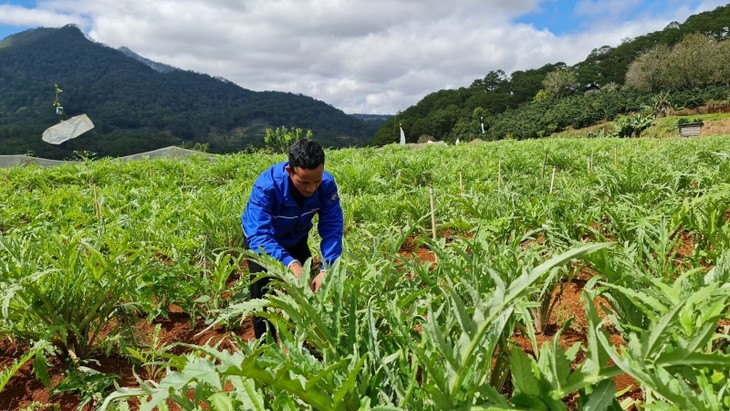 Changes recorded in Lam Dong province’ ethnic hamlets - ảnh 1