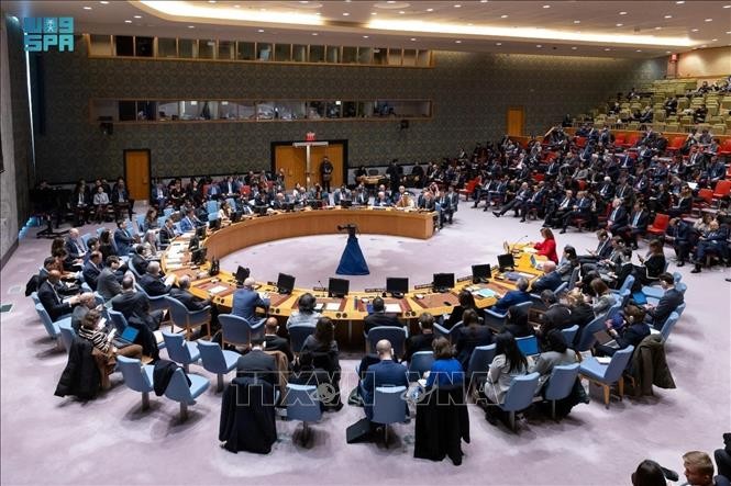 Vietnam calls for immediate ceasefire in Gaza - ảnh 1