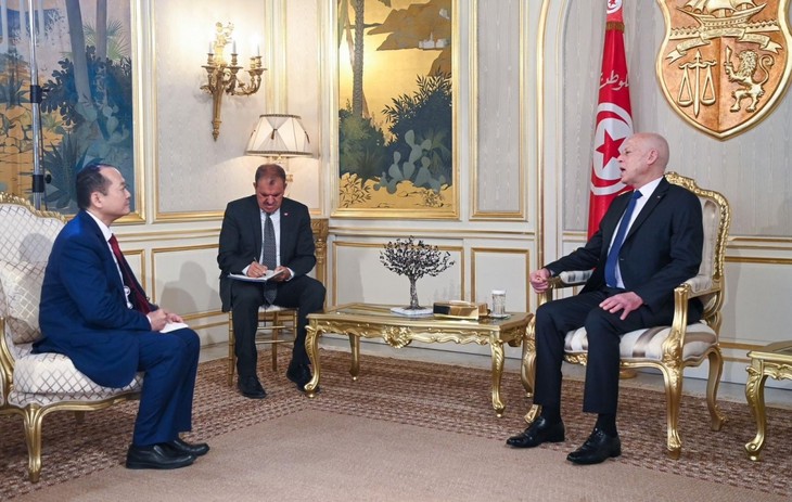 Tunisia wants to promote relations with Vietnam - ảnh 1