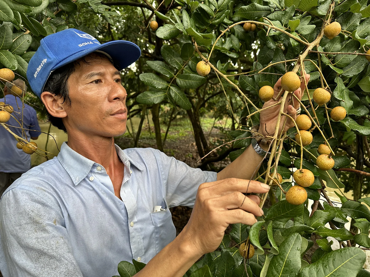 Vietnam builds more raw material areas for sustainable farm produce exports  - ảnh 2