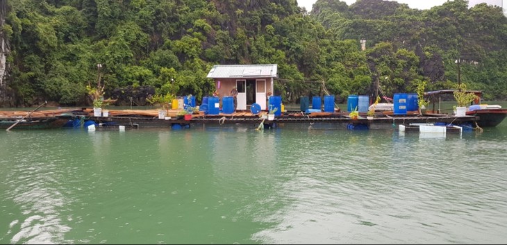 Vung Vieng, one of the world’s most beautiful fishing villages  - ảnh 4