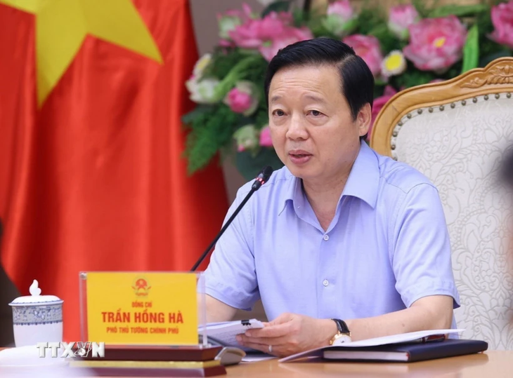 Vietnam seeks flexible solutions to develop carbon market - ảnh 1