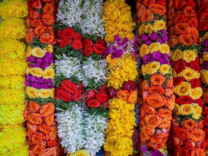 Garlanding and applying tilak, India’s fine custom to welcome guests - ảnh 2