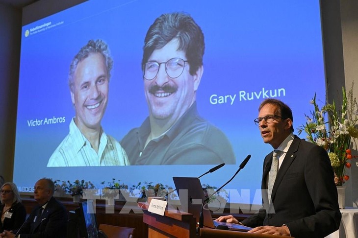 Nobel Prize in medicine goes to American biologists for work on microRNA - ảnh 1