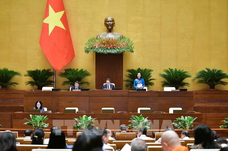 NA discusses law amendments to turn pharmaceutical industry into spearhead sector - ảnh 1