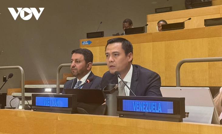 Vietnam pledges further contribution to work of G77 and China - ảnh 1