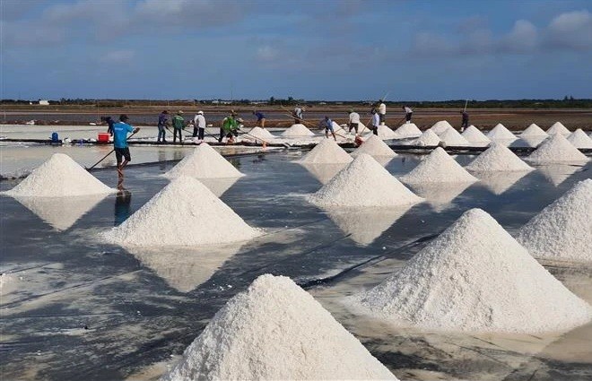 Vietnam Salt Industry Festival to take place next March in Bac Lieu - ảnh 1