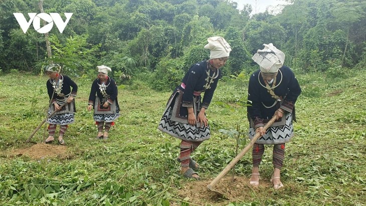 Spring arrives in Dao ethnic hamlet - ảnh 2