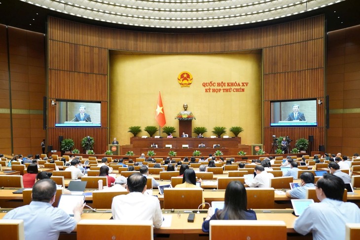 Law revised to improve national competitiveness   - ảnh 1