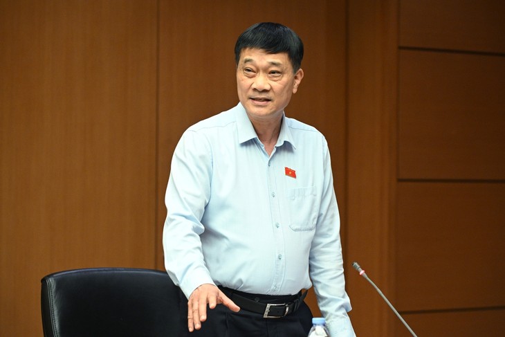 Law revised to improve national competitiveness   - ảnh 2