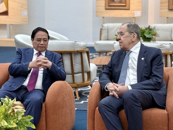 Vietnamese PM meets with world leaders in Brazil - ảnh 3