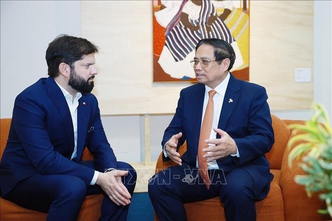 PM holds multiple activities on BRICS Summit sideline - ảnh 3