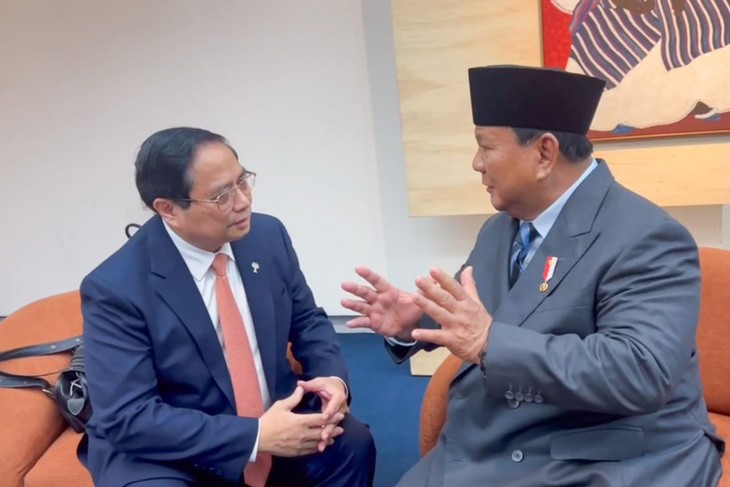 PM holds multiple activities on BRICS Summit sideline - ảnh 4