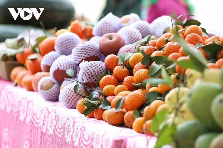 Son La targets agricultural breakthroughs to drive growth  - ảnh 3