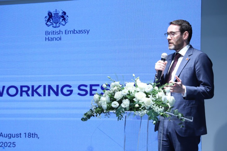 Vietnam, UK have potential for semiconductor collaboration: British Ambassador - ảnh 1