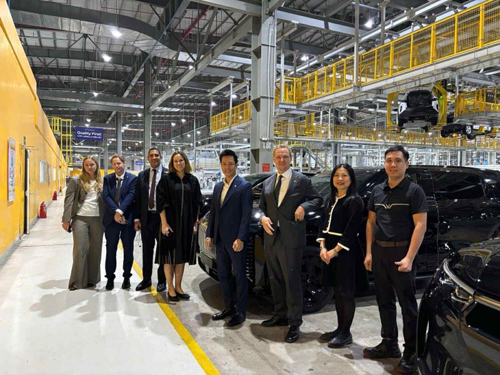 Vietnam, Sweden boost cooperation in innovation, green infrastructure - ảnh 2