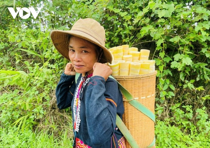 Two-way trade model spurs growth in Quang Tri’s mountain regions - ảnh 1