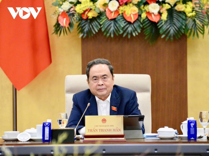 ​Special mechanisms for Ho Chi Minh City, Da Nang reviewed - ảnh 1