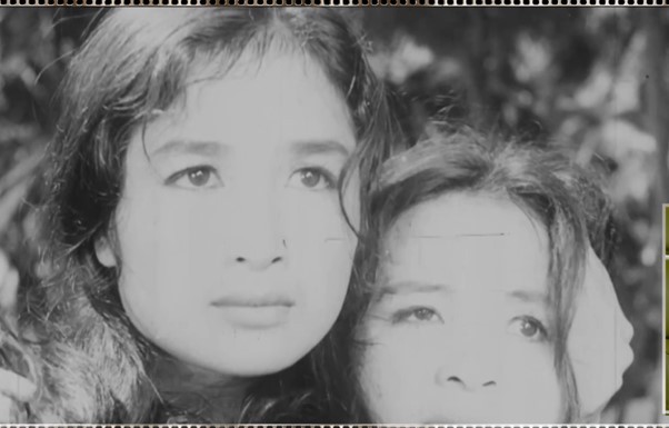 Free film screenings mark 14th National Party Congress - ảnh 2