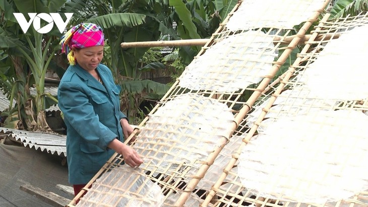 Nung village keeps hand-spread canna vermicelli tradition alive - ảnh 2