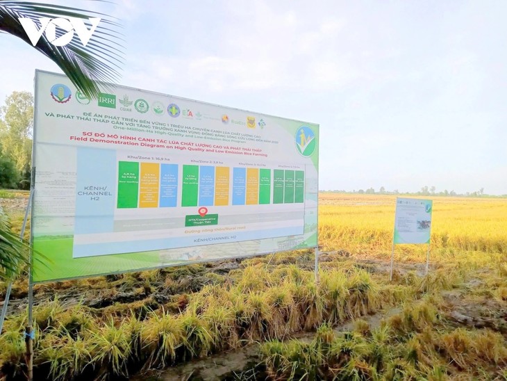Mekong Delta business community empowered - ảnh 1