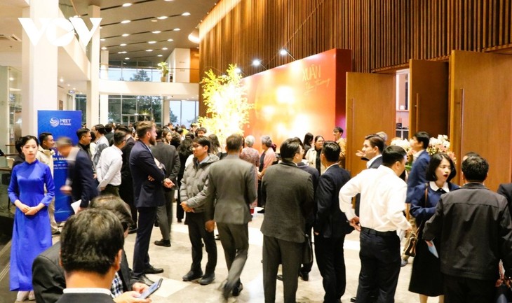 IFC Da Nang offers new opportunities to Japanese businesses - ảnh 2