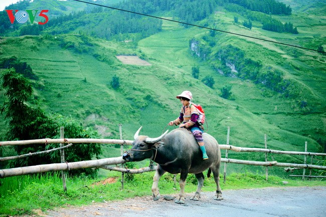 Hồn nhiên trẻ thơ - ảnh 11