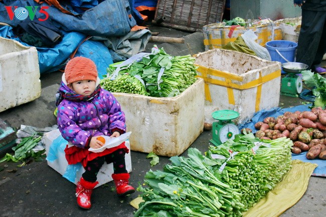 Hồn nhiên trẻ thơ - ảnh 10