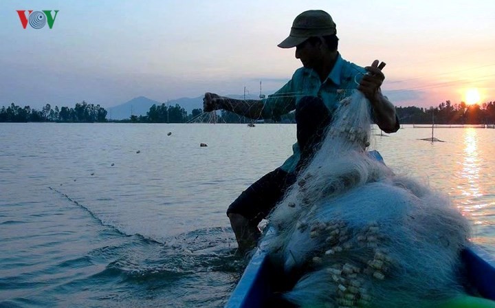 Sản vật mùa nước nổi đồng bằng sông Cửu Long - ảnh 4