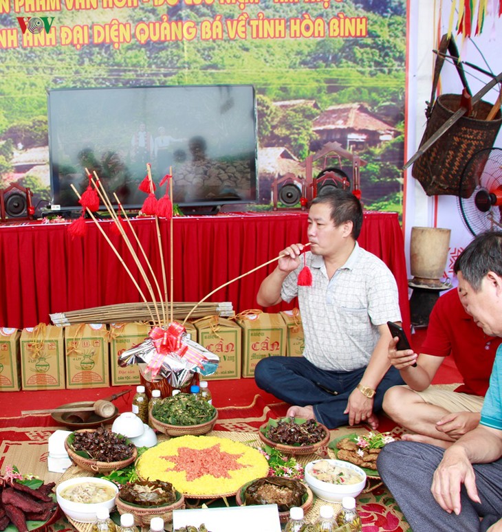 Khai mạc ngày hội văn hóa, thể thao, du lịch các dân tộc vùng Tây Bắc - ảnh 13