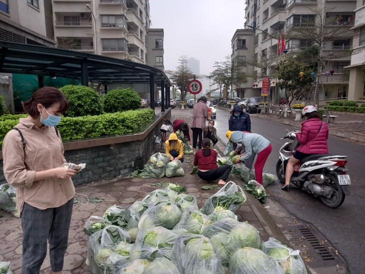 Người Hà Nội chung tay giải cứu nông sản Hải Dương - ảnh 1