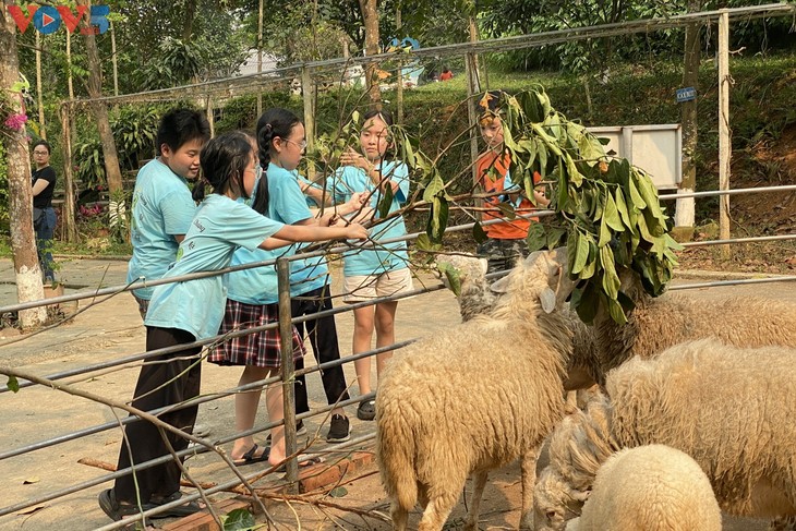 Học sinh Hà Nội thích thú với các hoạt động rèn luyện thể chất và trí tuệ - ảnh 2