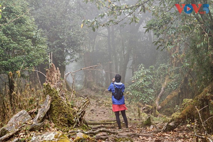 Thiên đường mây Tà Xùa - điểm đến toàn cầu 2026 - ảnh 10