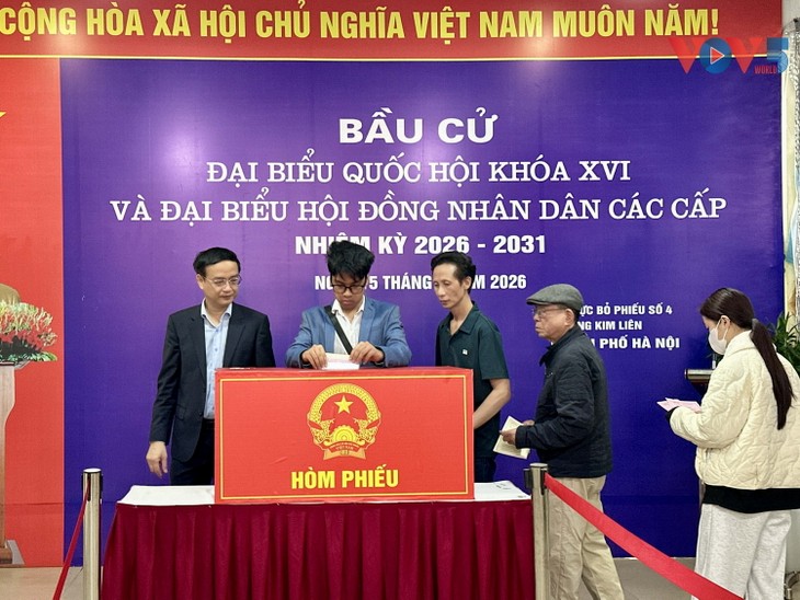 Người dân Hà Nội phấn khởi thực hiện quyền công dân trong ngày bầu cử - ảnh 9