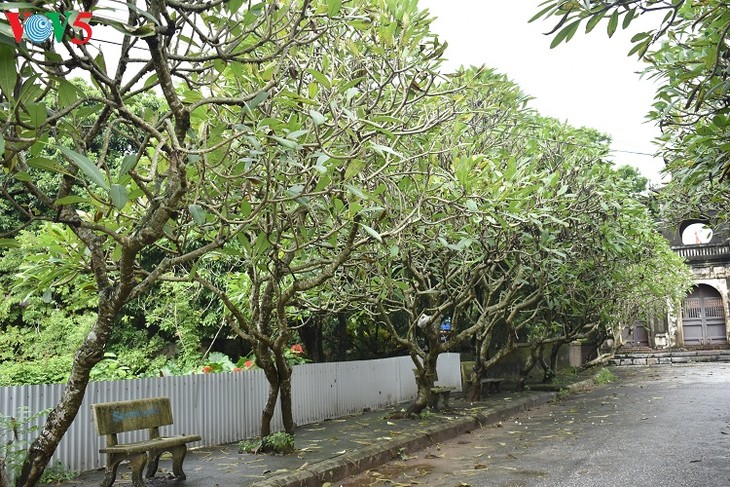 Le Temple de la Littérature de Xich Dang - ảnh 1